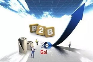 消費互聯網向產業互聯網轉型 B2B市場崛起與網絡技術服務的機遇